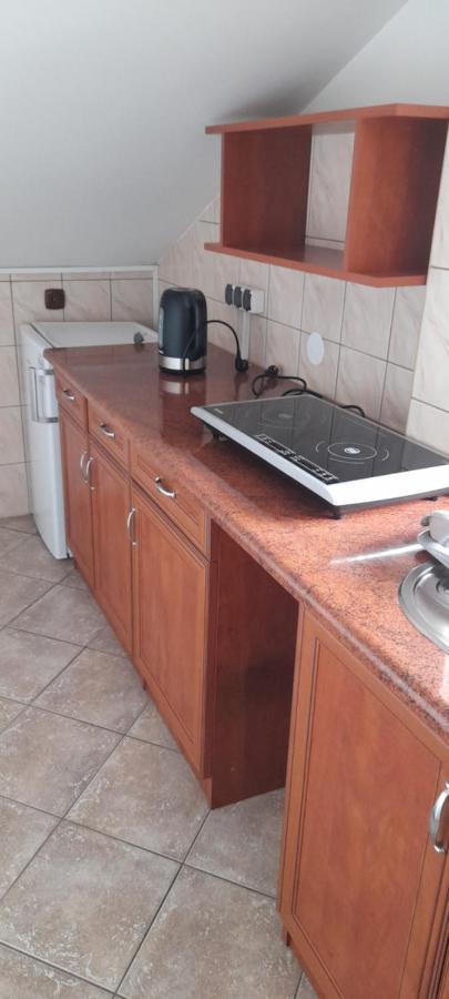 Agroturystyka U Wiesi Ciecina Exterior foto